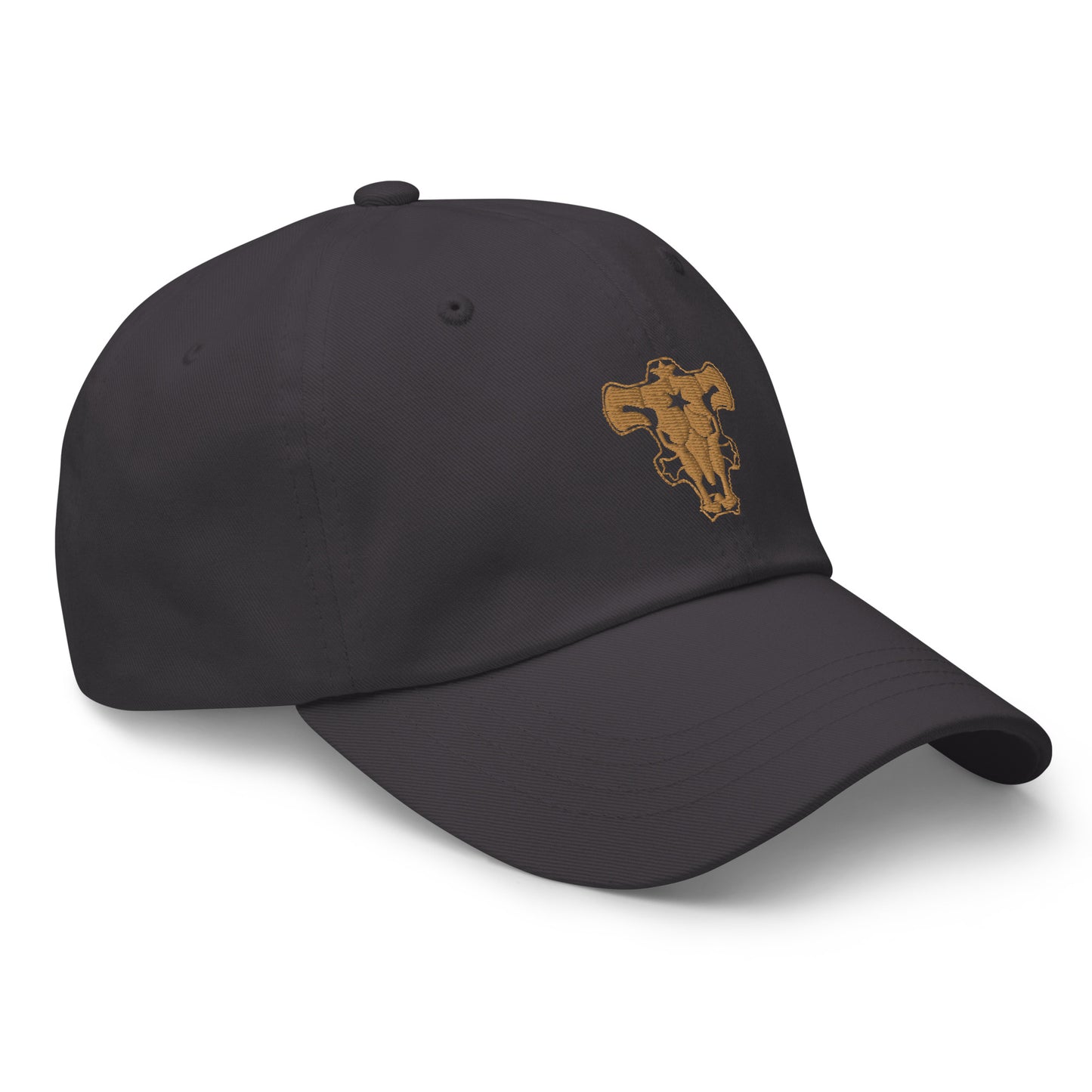 Black Bulls Embroidered Hat