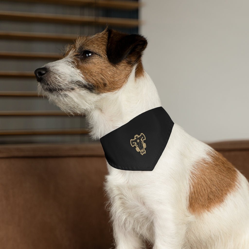 Louis Vuitton Dog Collar Review, Was It Worth It?